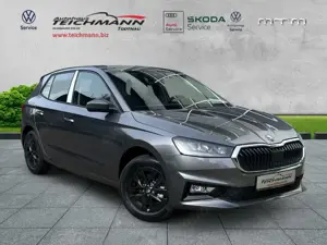 Skoda Fabia Selection DSG Bild 2