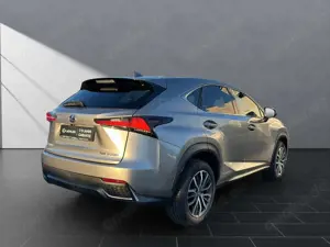 Lexus NX 300 h*F-Sport*PANO*360KAMERA* 15J-GARANTIE Bild 5