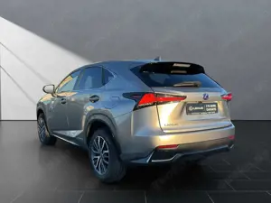 Lexus NX 300 h*F-Sport*PANO*360KAMERA* 15J-GARANTIE Bild 3