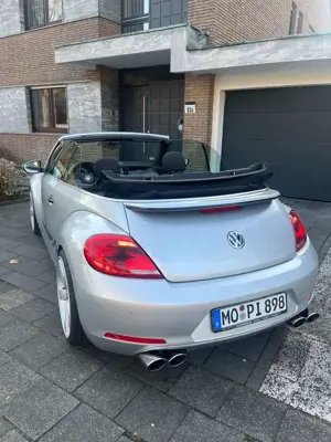Volkswagen Beetle Bild 3