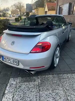 Volkswagen Beetle Bild 4