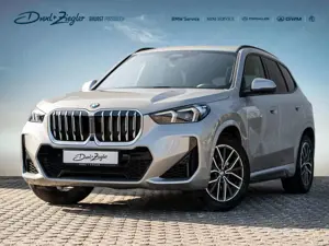 BMW X1 xDrive23i M-Sport AHK PANO ACC HuD HK 360°
