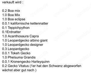 Reptilien auflösung 