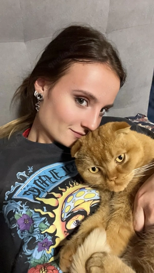Super lieber Kater sucht ein neues Zuhause  Bild 5