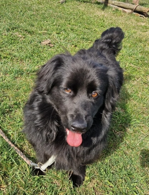 Ben ist 4 Jahre, 35 cm, lieb