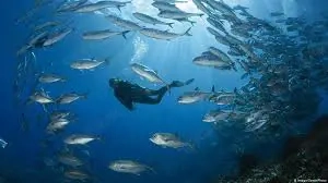 Bist du einsam und würdest es gerne ändern 