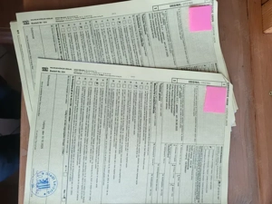 Griechische und Maurische Landschildkröten 