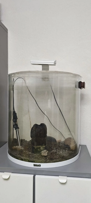 Aquarium mit Panoramaglas