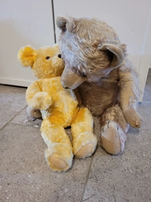 Grosser Brummbär mitte 60 zum Kuscheln