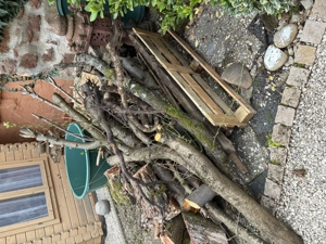 Brennholz kostenlos abzuholen