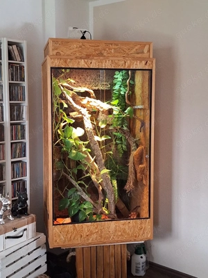 Terrarium ca.139x81x61