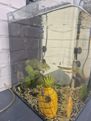 Aquarium mit Zubehör 