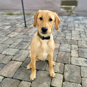 Hera - ist aufgeschlossen 