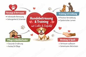 Hundebetreuung Beratung Training