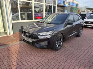 Ford Kuga ST-Line Autom, LED Nav WinterP Bild 1