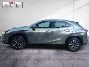 Lexus UX 300e Basis Klima Kamera Sitzhzg Tempomat Bild 3