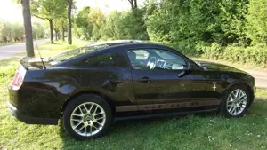 Ford Mustang Premium Pony Package V6 Bild 3