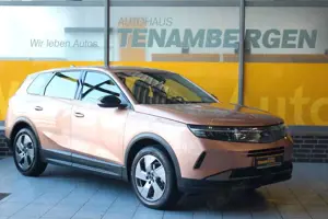 Opel Grandland X Grandland 1.2 Mild-Hybrid Kamera Allwetter LED