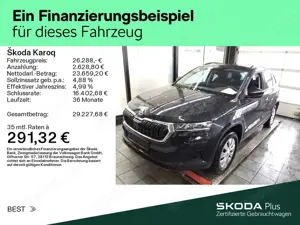 Skoda Karoq Bild 2