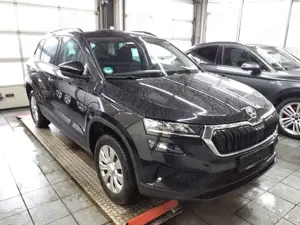 Skoda Karoq Bild 3