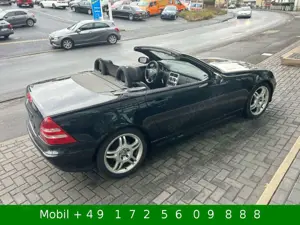 Mercedes-Benz SLK 230 Roadster Kompressor Leder Klima Navi AMG Bild 3