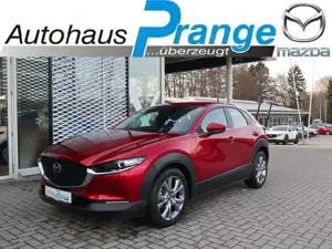Mazda CX-30 M-Hybrid G-150 AWD AT Selection ACT-P NAVI ACAA 36