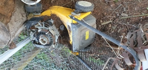 Benzin Rasenmäher defekt Tausch