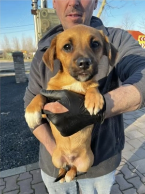 Oskar sucht seine Familie