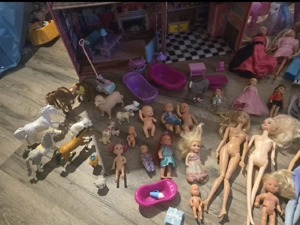 Barbies mit Zubehör 