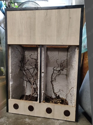 Aufzucht Terrarien in drei Längen 