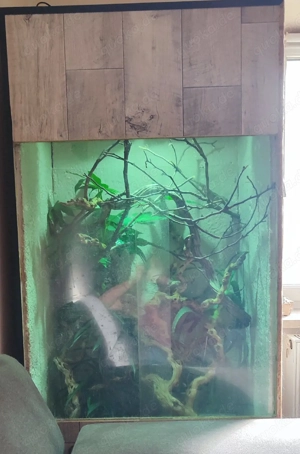 Terrarium 80-60-140cm 