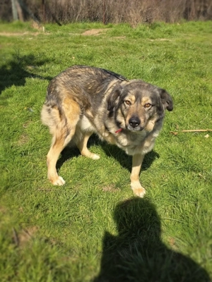 Warum will mich denn keiner ????