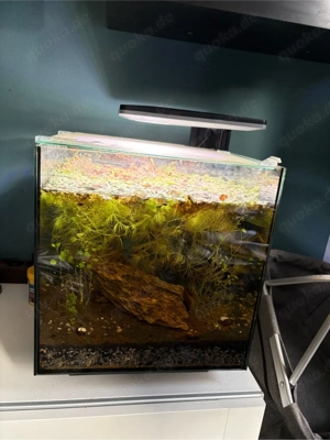SuperFish QubiQ 30 Pro Nano-Aquarium mit Filter & LED
