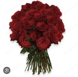 Suche vernachlässige Frau ( gerne Ausländerin ) TG möglich