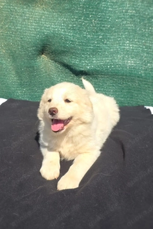 Josi ein tolles Mädchen 