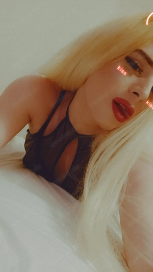 Willst Du mal etwas neues probieren? Eine heiße Shemale vielleicht?