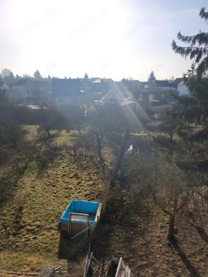 Ich suche einen neuen Begleiter (bitte lesen )  