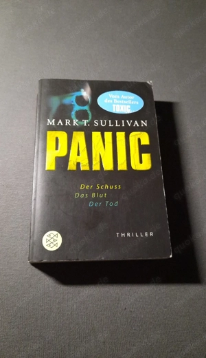 Panic Mark. T. Sullivan