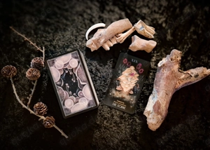 Magische Botschaften aus dem Wald Kartenlegung