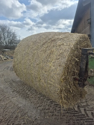 Rundballenweizenstroh