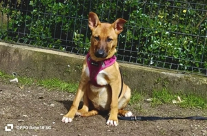 MEGAN mit grossem Kuschelherz