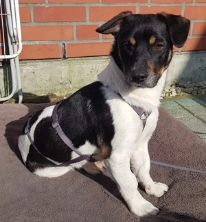 Watson- Kleiner Mann sucht großes Glück 