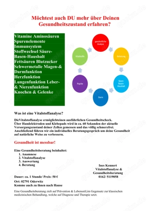 Vitalstoffanalyse Gesundheitsberatung 