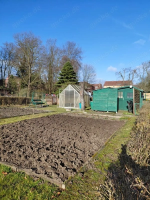 Pachtgarten mit Laube und Gewächshaus in Beeskow zu vergeben