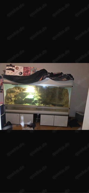 Terrarium zu verkaufen 