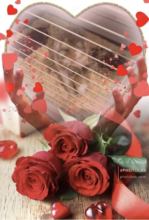 sehr dringend sehr eilig ein Zuhause gesucht für Robin