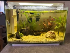 Aquarium. 