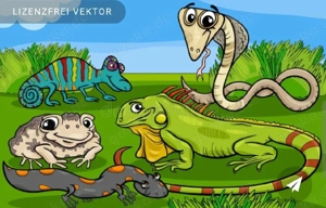 Reptilien und Amphibien Zuhause 