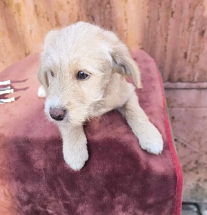 Kleiner Entdecker Rolf 