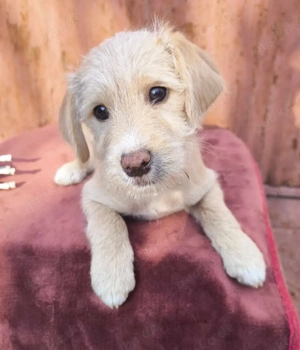 Kleiner Entdecker Rolf 